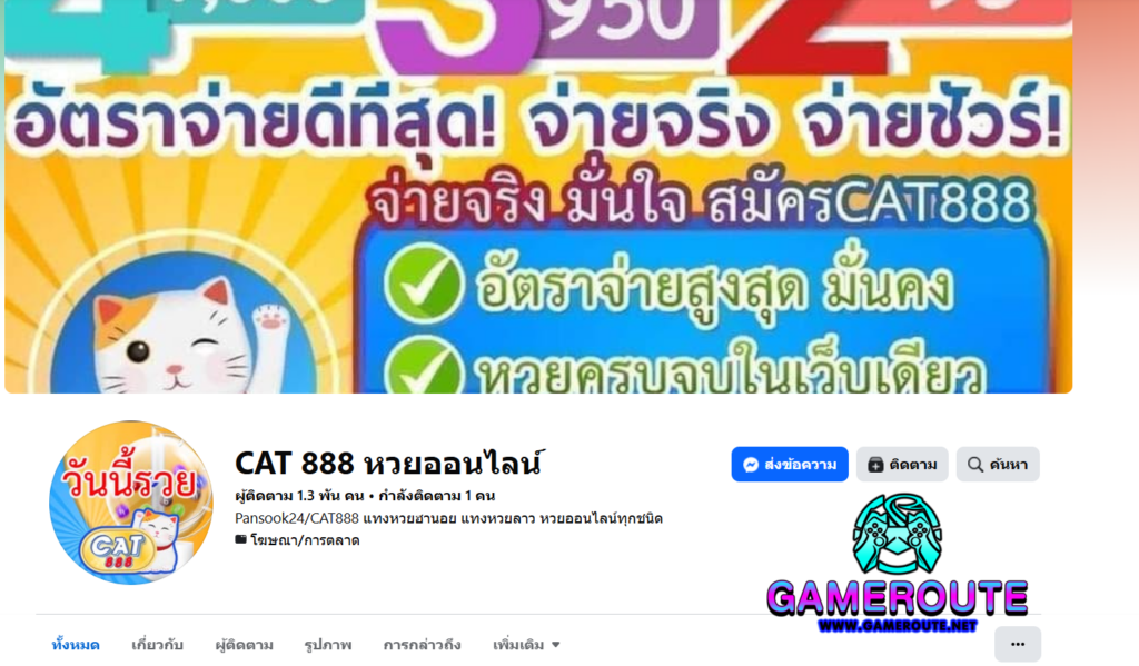 Cat888