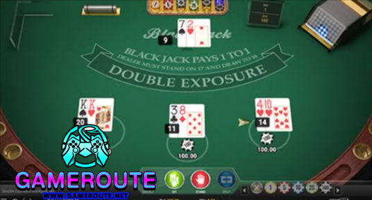 Double Exposure Blackjack